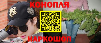 гидра Краснознаменск