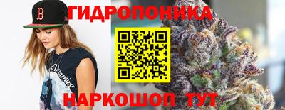 гидра Краснознаменск