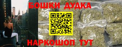 гидра Краснознаменск