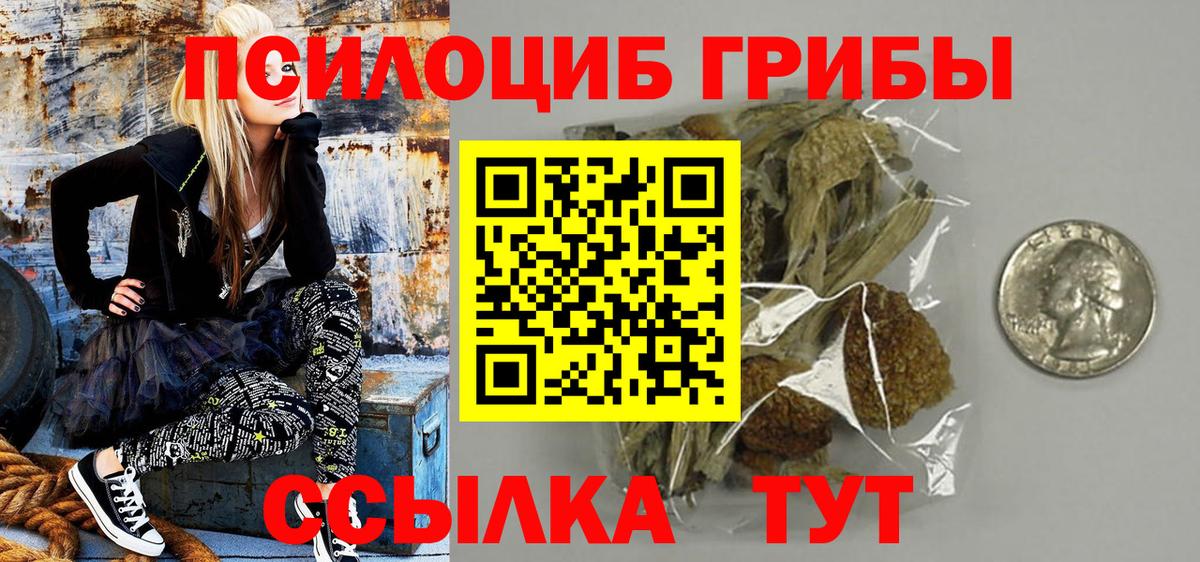 Галлюциногенные грибы Psilocybine cubensis Чапаевск