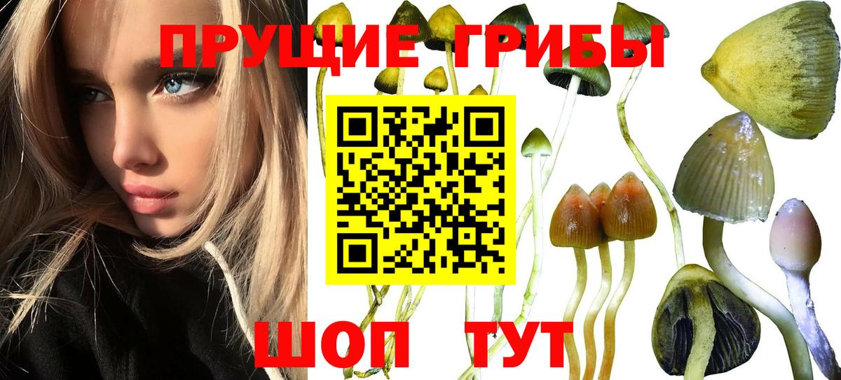 Гашиш Чапаевск